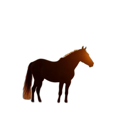 animal, hat, hair, crown transparent PNG cut-out
