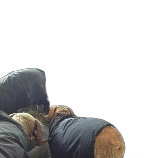 animal, creature, jacket, furniture transparent PNG cut-out
