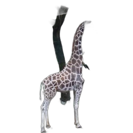 animal, staff, creature, weapon transparent PNG cut-out