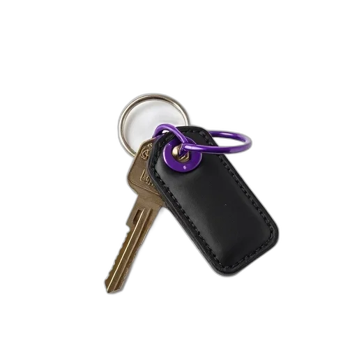 car, staff, set, keys transparent PNG cut-out