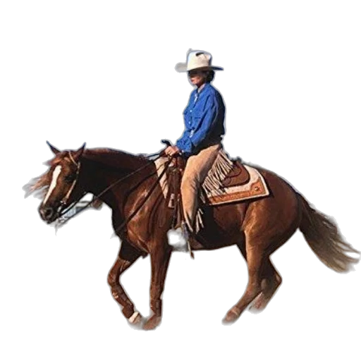 staff, jacket, hat, animal transparent PNG cut-out