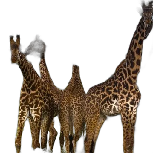 animal, creature, staff, weapon transparent PNG cut-out