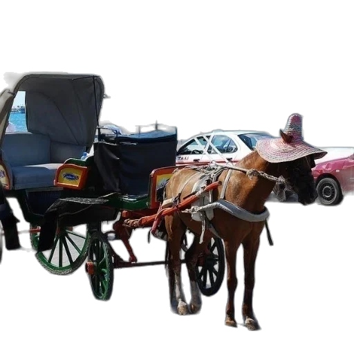 car, photorealistic, concept art, city street transparent PNG cut-out