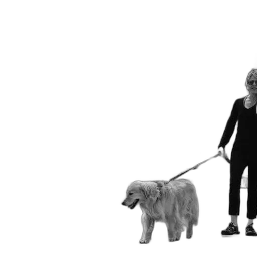 staff, animal, creature, concept art transparent PNG cut-out