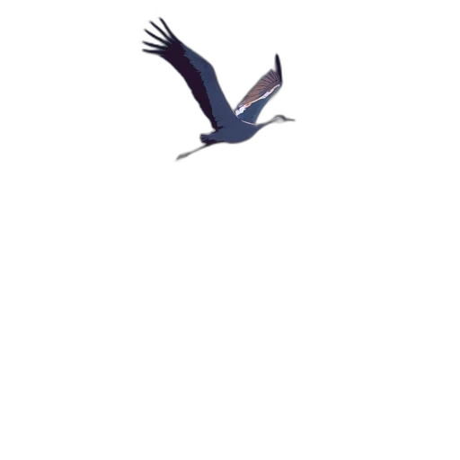 animal, staff, creature, dragon transparent PNG cut-out