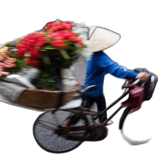 umbrella, flower, hat, jacket transparent PNG cut-out