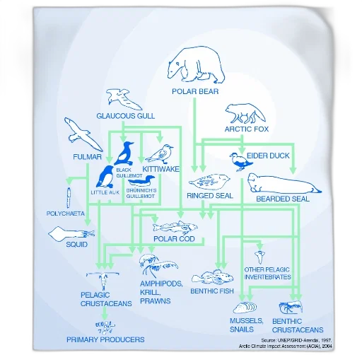 concept art, food, web, diagram transparent PNG cut-out