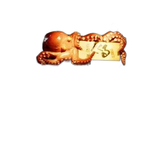 bottle, crown, creature, food transparent PNG cut-out