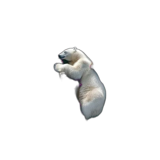 animal, staff, creature, jewelry transparent PNG cut-out