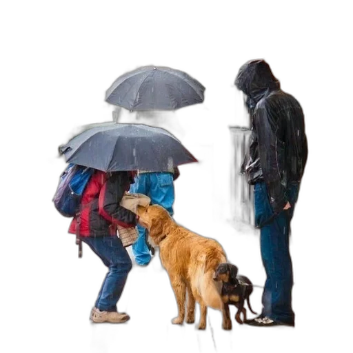 umbrella, jacket, photorealistic, concept art transparent PNG cut-out