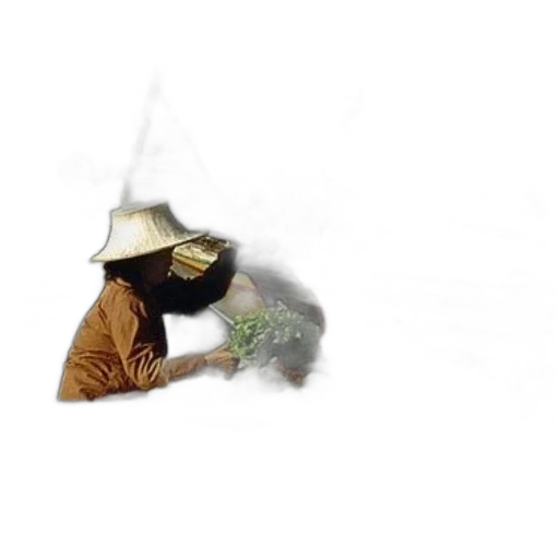 mask, hat, staff, flower transparent PNG cut-out