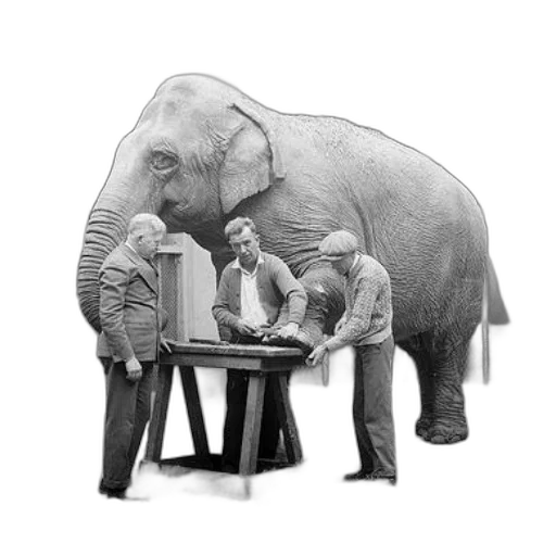 furniture, animal, photorealistic, pencil sketch transparent PNG cut-out