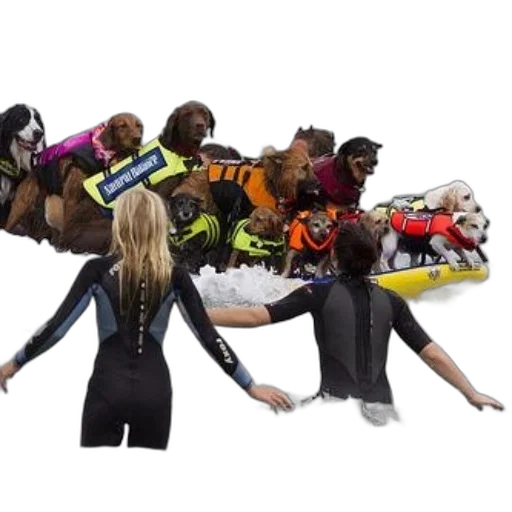 jacket, shoes, staff, people transparent PNG cut-out
