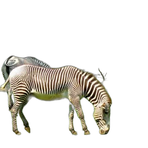 animal, creature, robot, furniture transparent PNG cut-out