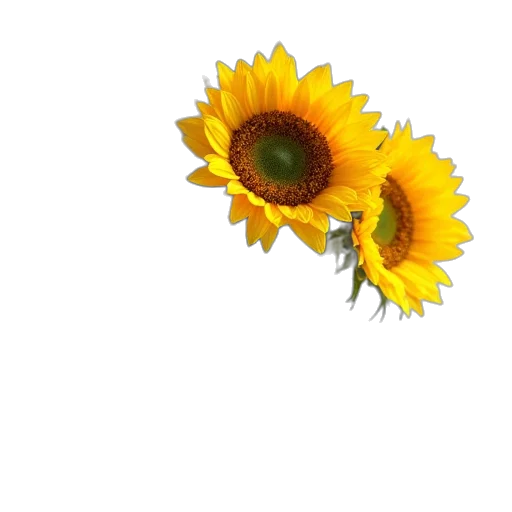 flower, crown, jewelry, staff transparent PNG cut-out