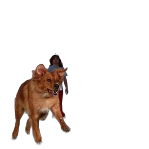 animal, creature, staff, weapon transparent PNG cut-out