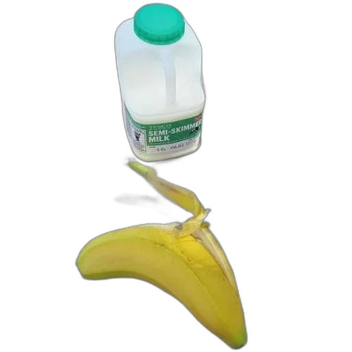 bottle, weapon, food, animal transparent PNG cut-out
