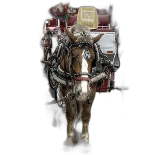 robot, animal, staff, car transparent PNG cut-out