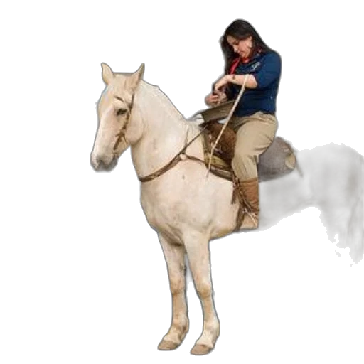 staff, animal, weapon, photorealistic transparent PNG cut-out