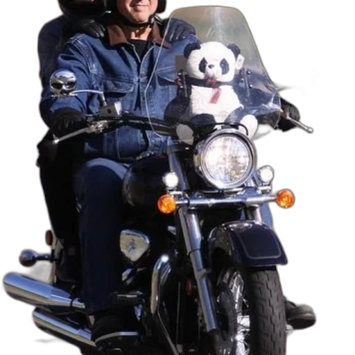 jacket, animal, person, riding transparent PNG cut-out