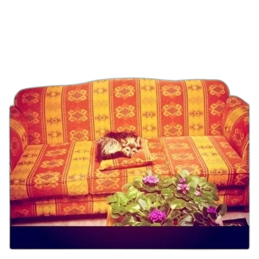 furniture, animal, crown, jacket transparent PNG cut-out