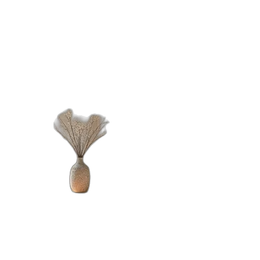 jewelry, hair, furniture, crown transparent PNG cut-out