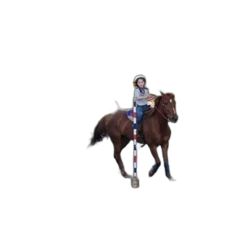 animal, staff, weapon, sword transparent PNG cut-out