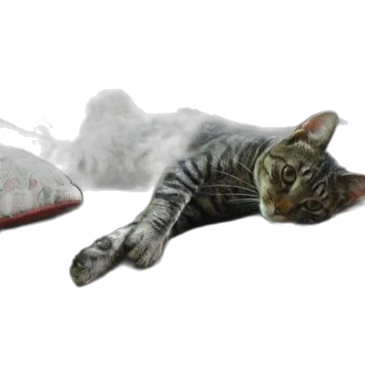 shoes, weapon, staff, animal transparent PNG cut-out