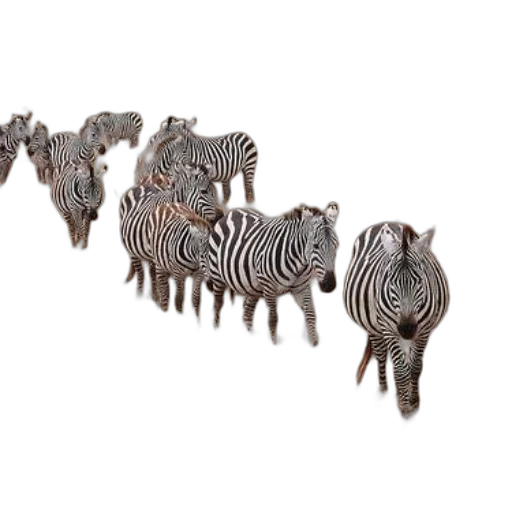 jewelry, crown, animal, 3d render transparent PNG cut-out