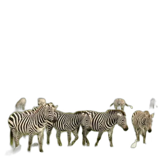 animal, furniture, creature, jewelry transparent PNG cut-out