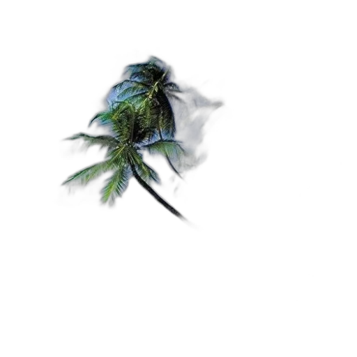 dragon, animal, creature, flower transparent PNG cut-out