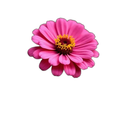 flower, jewelry, crown, staff transparent PNG cut-out