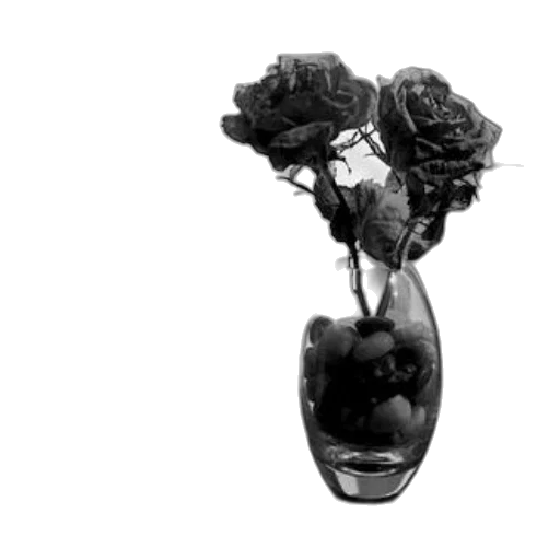 crown, jewelry, bottle, flower transparent PNG cut-out