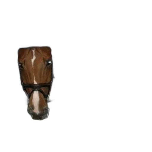 mask, animal, hat, face transparent PNG cut-out