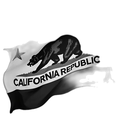 concept art, picture, black, white transparent PNG cut-out