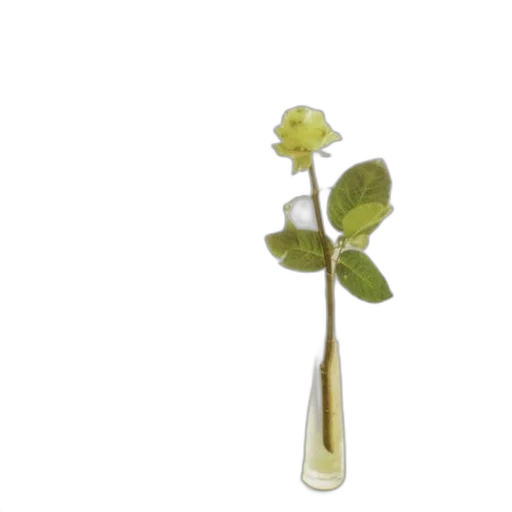flower, staff, weapon, bottle transparent PNG cut-out