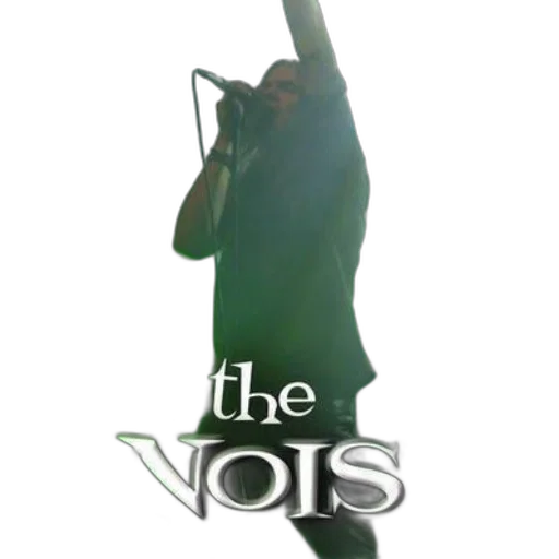 staff, musician, performs, stage transparent PNG cut-out