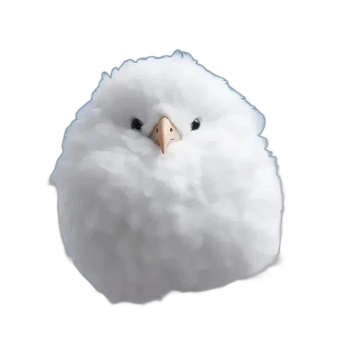 hair, animal, hat, creature transparent PNG cut-out