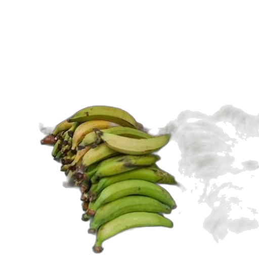food, weapon, crown, animal transparent PNG cut-out