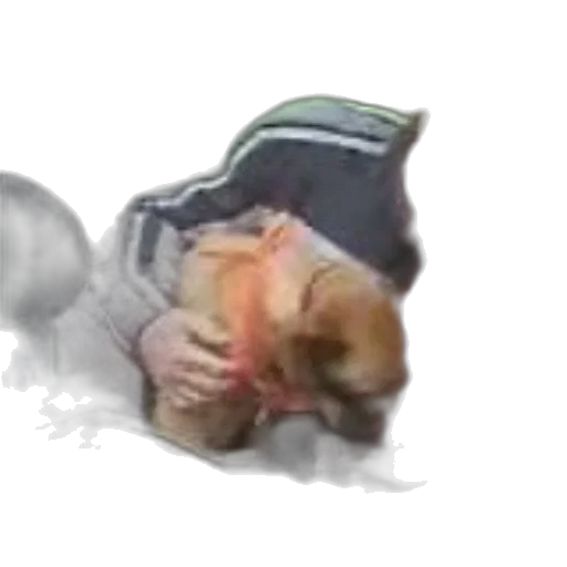 creature, animal, hair, staff transparent PNG cut-out