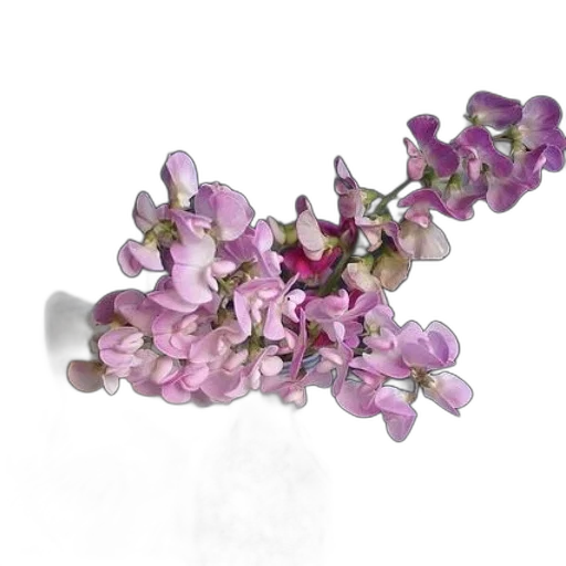 jewelry, flower, crown, staff transparent PNG cut-out