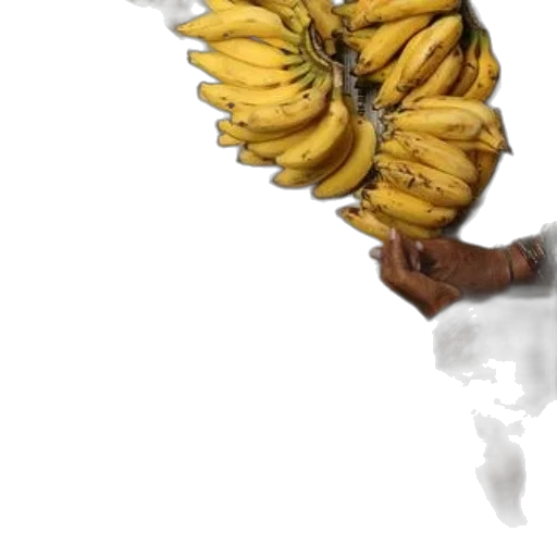 weapon, food, crown, staff transparent PNG cut-out
