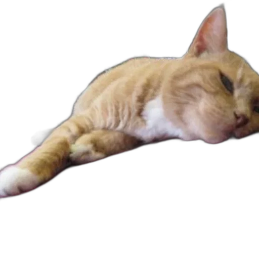 staff, animal, creature, dragon transparent PNG cut-out