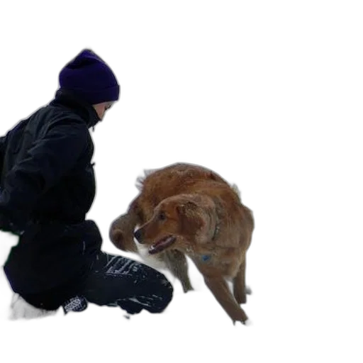animal, creature, concept art, photorealistic transparent PNG cut-out
