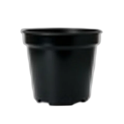 hat, crown, furniture, flower transparent PNG cut-out