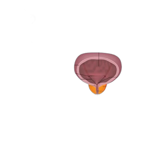 jewelry, crown, umbrella, food transparent PNG cut-out