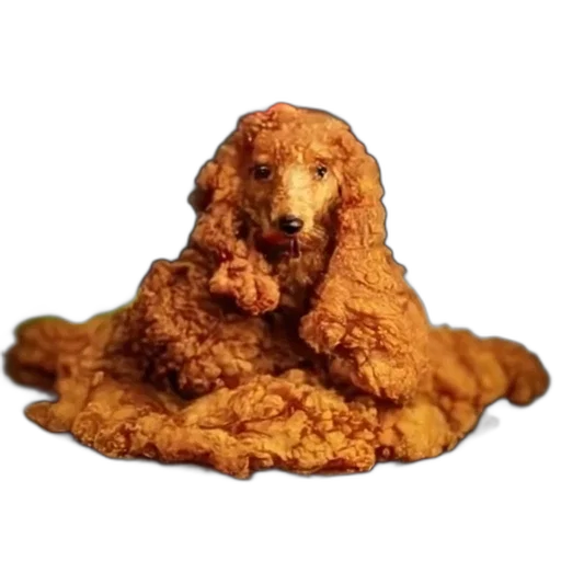 animal, food, creature, hair transparent PNG cut-out