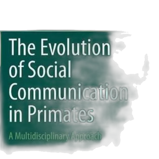 evolution, social, communication, primates transparent PNG cut-out