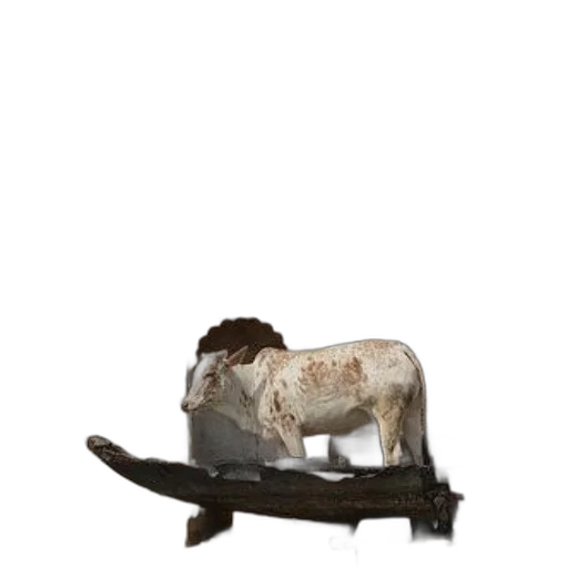 animal, furniture, shoes, staff transparent PNG cut-out