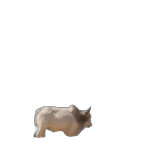 animal, creature, weapon, food transparent PNG cut-out